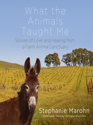 cover image of What the Animals Taught Me